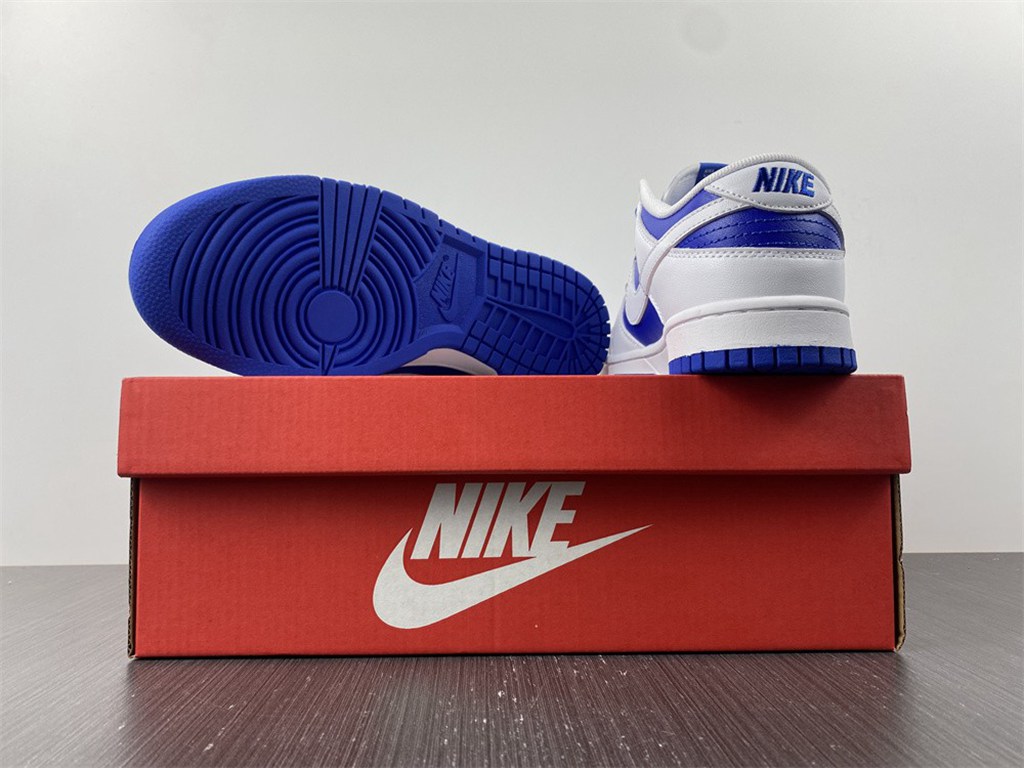 Nike Dunk Low DD1391-104